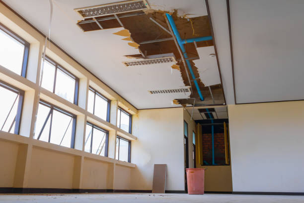 Best Ceiling water damage repair  in Huntingtown, MD