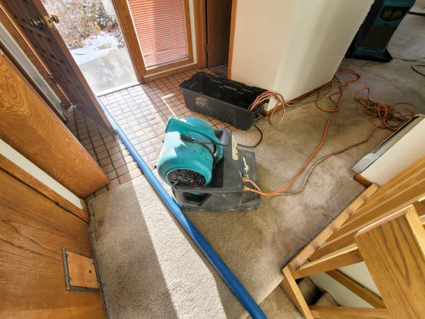 Best Water damage restoration near me  in Huntingtown, MD