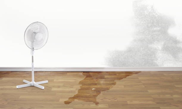 Best Flood damage cleanup  in Huntingtown, MD