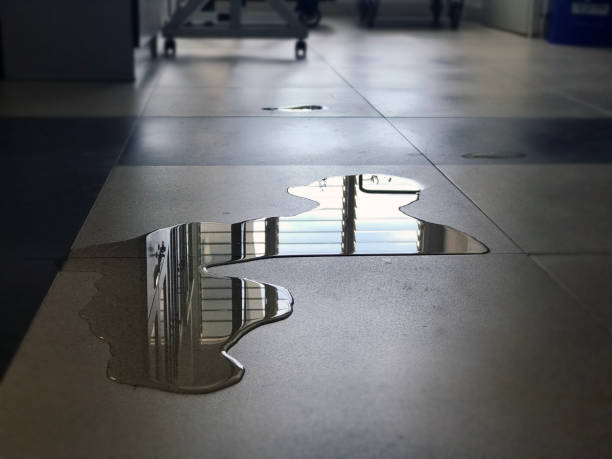 Best Water damage repair service  in Huntingtown, MD