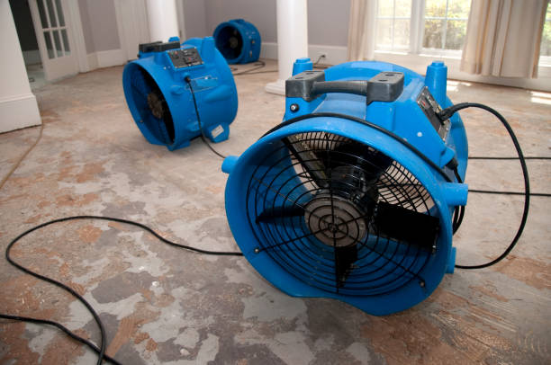 Best Water damage restoration company  in Huntingtown, MD