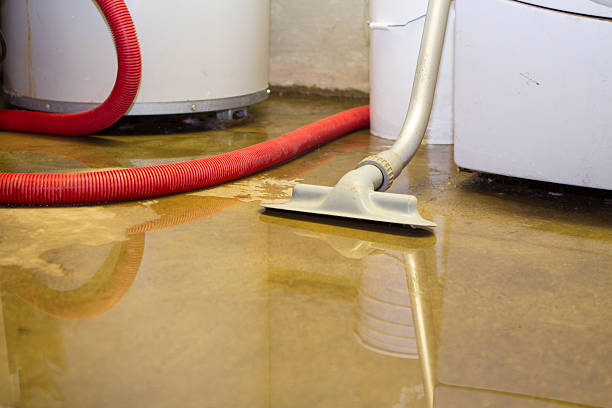 Best Ceiling water damage repair  in Huntingtown, MD