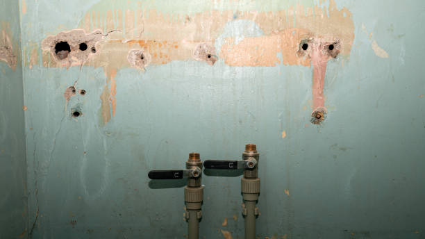 Best 24-hour water damage restoration  in Huntingtown, MD