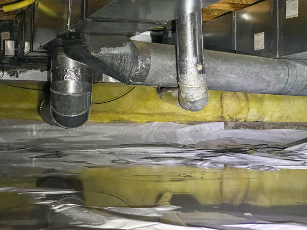 Best Local water damage restoration  in Huntingtown, MD