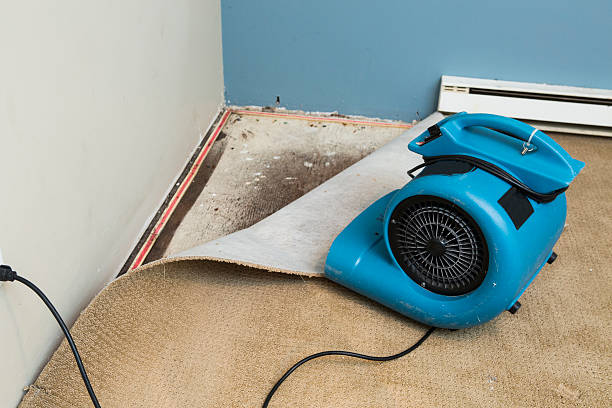 Water damage restoration process in Huntingtown, MD